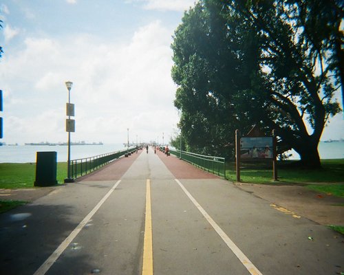 Jogging path at East Coast Park